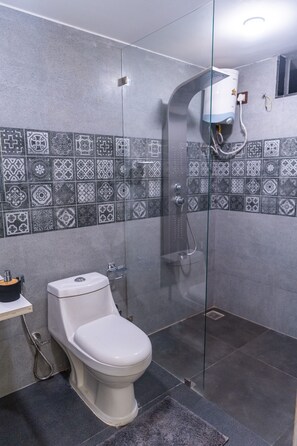 Shower, hair dryer, bidet, towels