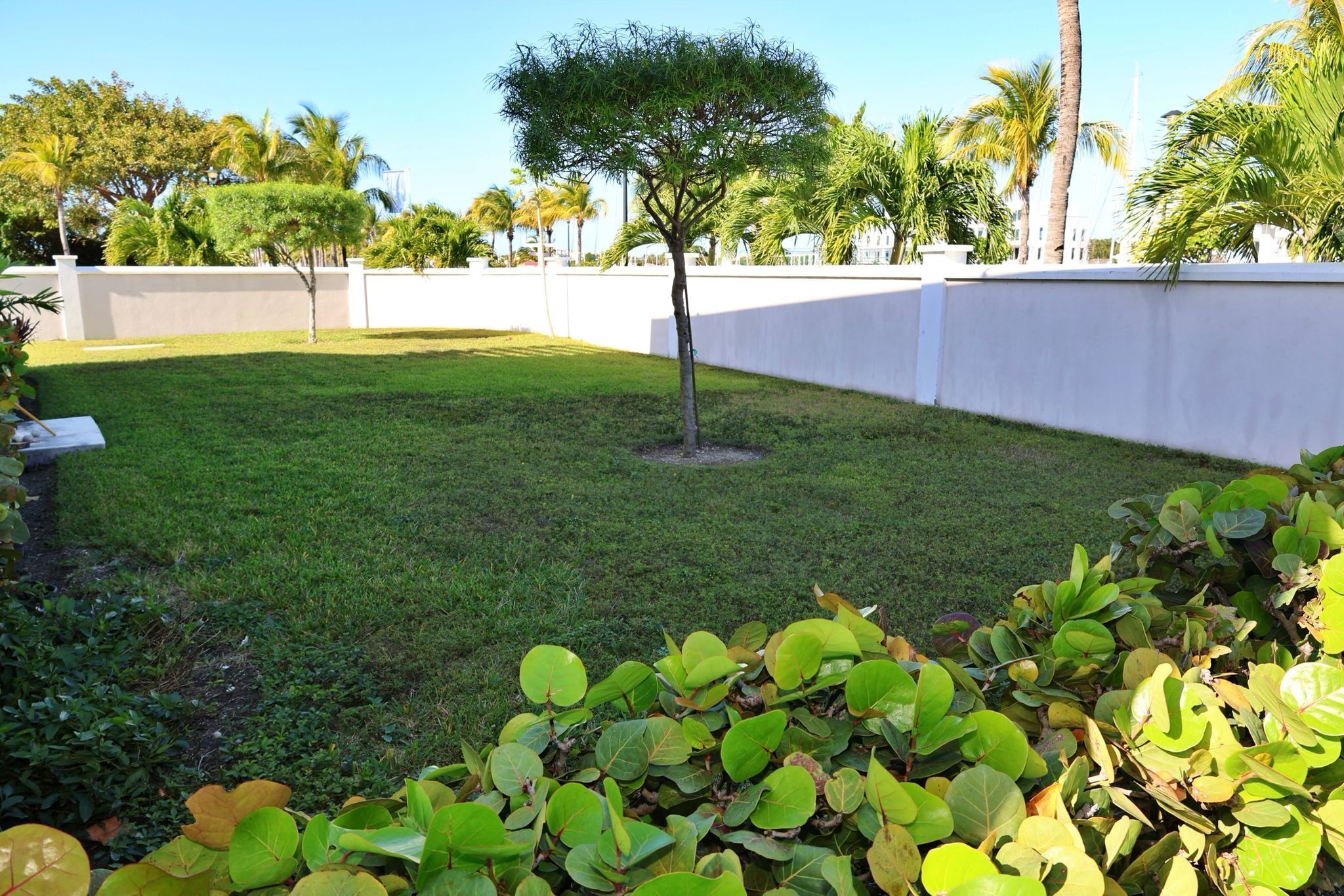 A well-maintained grassy area with a small tree and dense foliage in the foreground.
