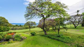 Condo, 2 Bedrooms | Property grounds