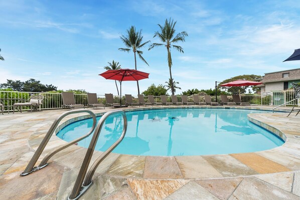 A swimming pool with a stone deck, lounge chairs, and palm trees in the background.