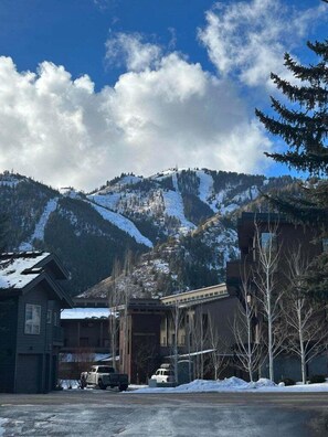 Exterior - Bridgepoint Condo 30-Tranquil Woodland Creek View, Hot tub Onsite (Ketchum)