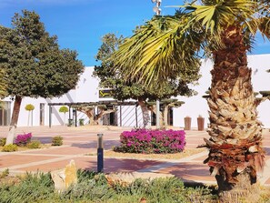 Área da propriedade