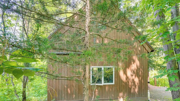 A small wooden cabin surrounded by dense forest. - Treehouse Sanctuary Nature Retreat (Athens)