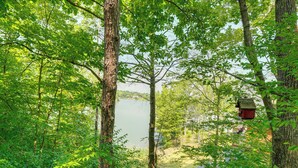 A forested area with a lake, trees, and a birdhouse. - Treehouse Sanctuary Nature Retreat (Athens)