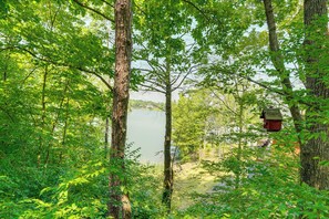 A forested area with a lake, trees, and a birdhouse.