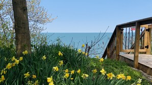 Eine Holzterrasse mit Blick auf das Meer, umgeben von üppigem Grün und gelben Blüten.