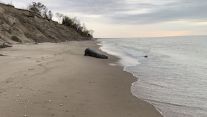 Ein Strand mit einem Felsen und verstreuten Muscheln.