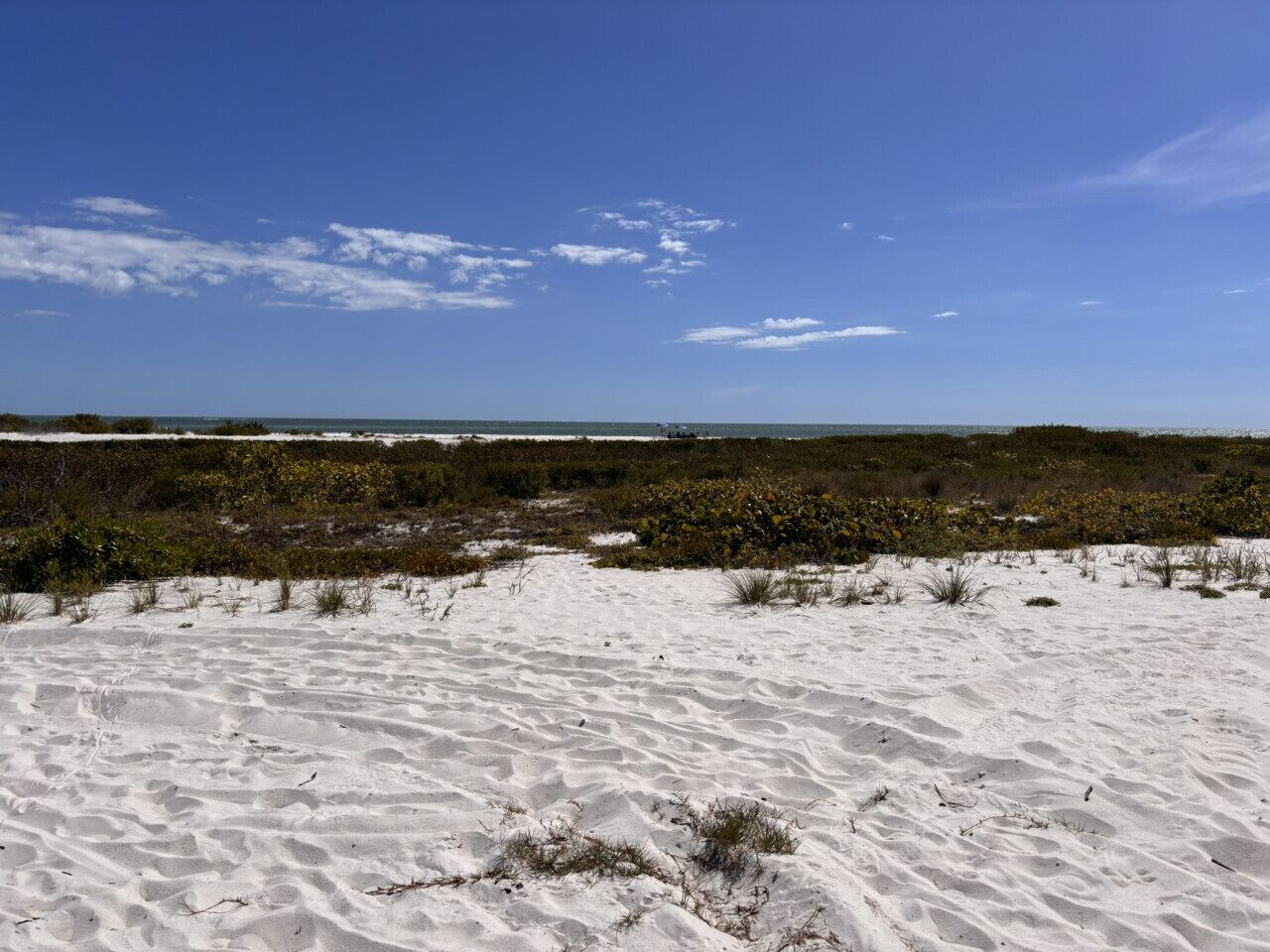 Une plage de sable avec une végétation clairsemée et un ciel bleu dégagé.