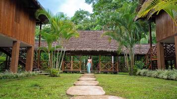 A wooden structure with a thatched roof, surrounded by palm trees and a stone pathway leading to it.