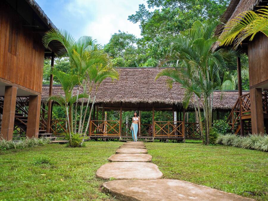 A wooden structure with a thatched roof, surrounded by palm trees and a stone pathway leading to it.