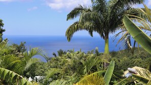 A tropical landscape with dense foliage and a view of the ocean. - Villa Ô Perchée - swimming pool - panoramic sea view (Pointe-Noire)