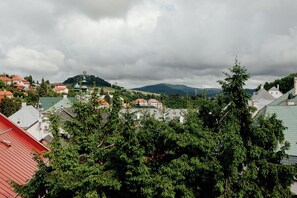 Vista desde la habitación