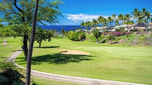 En golfbana med fri utsikt över havet och ett bostadsområde med hus och palmer.