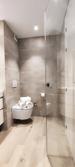 Shower, hair dryer, towels