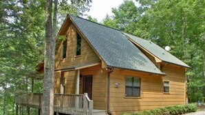 A wooden cabin with a porch, surrounded by trees. - Bucksnort Lodge- Blue Ridge GA (Blue Ridge)