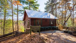 A rustic log cabin with a metal roof, surrounded by a forest. - Hog Heaven - Cherry Log GA (Cherry Log)