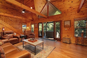 TV, fireplace, DVD player - Rivers D Lite - Blue Ridge GA (Blue Ridge)