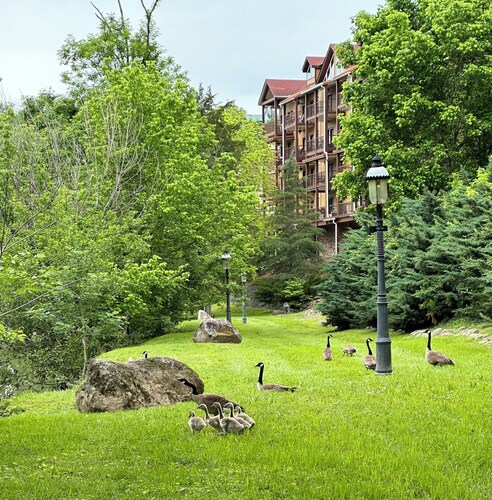 Meme & Paw’s place 