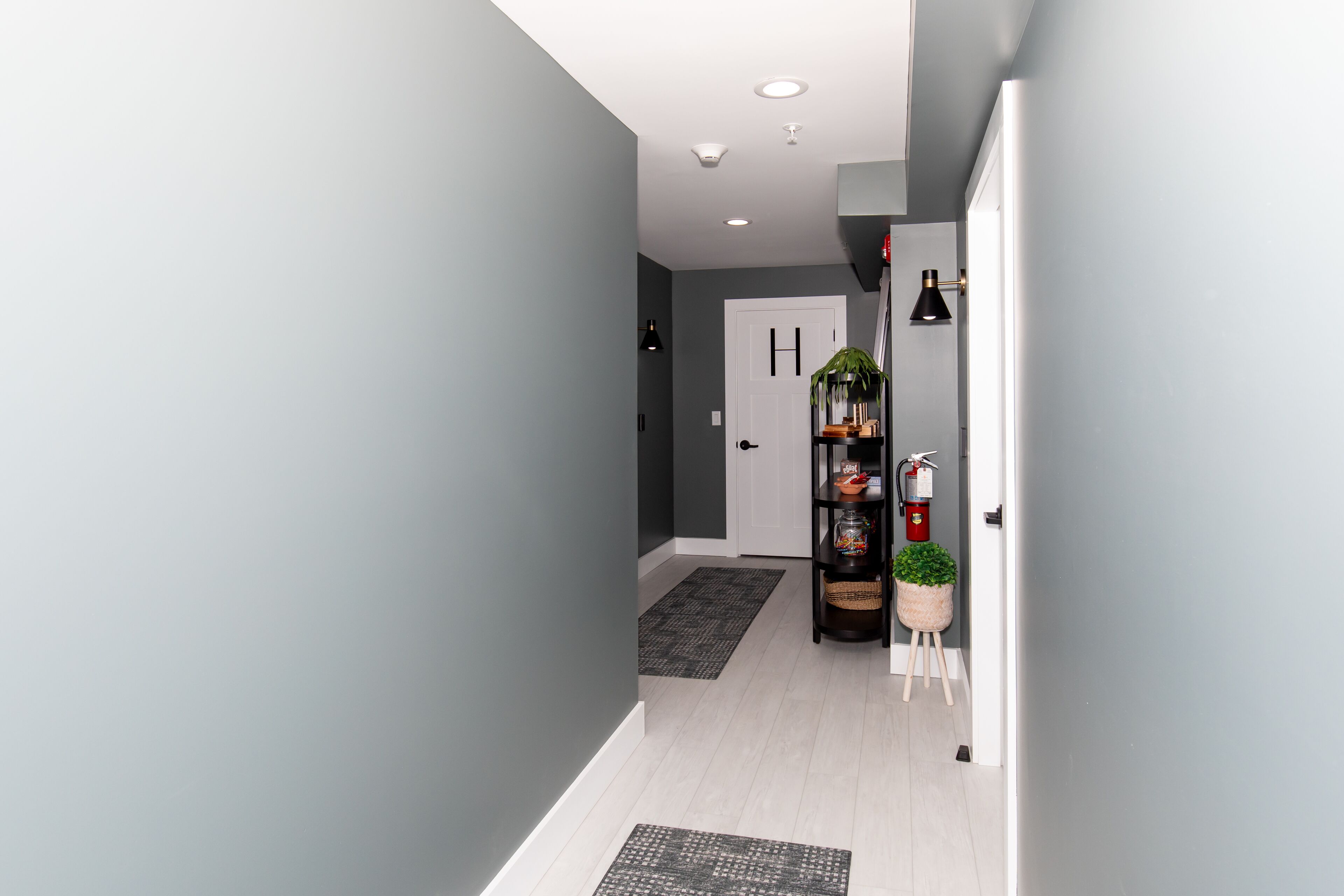 A modern hallway with grey walls, a white door, a black shelf with items, and a small potted plant.
