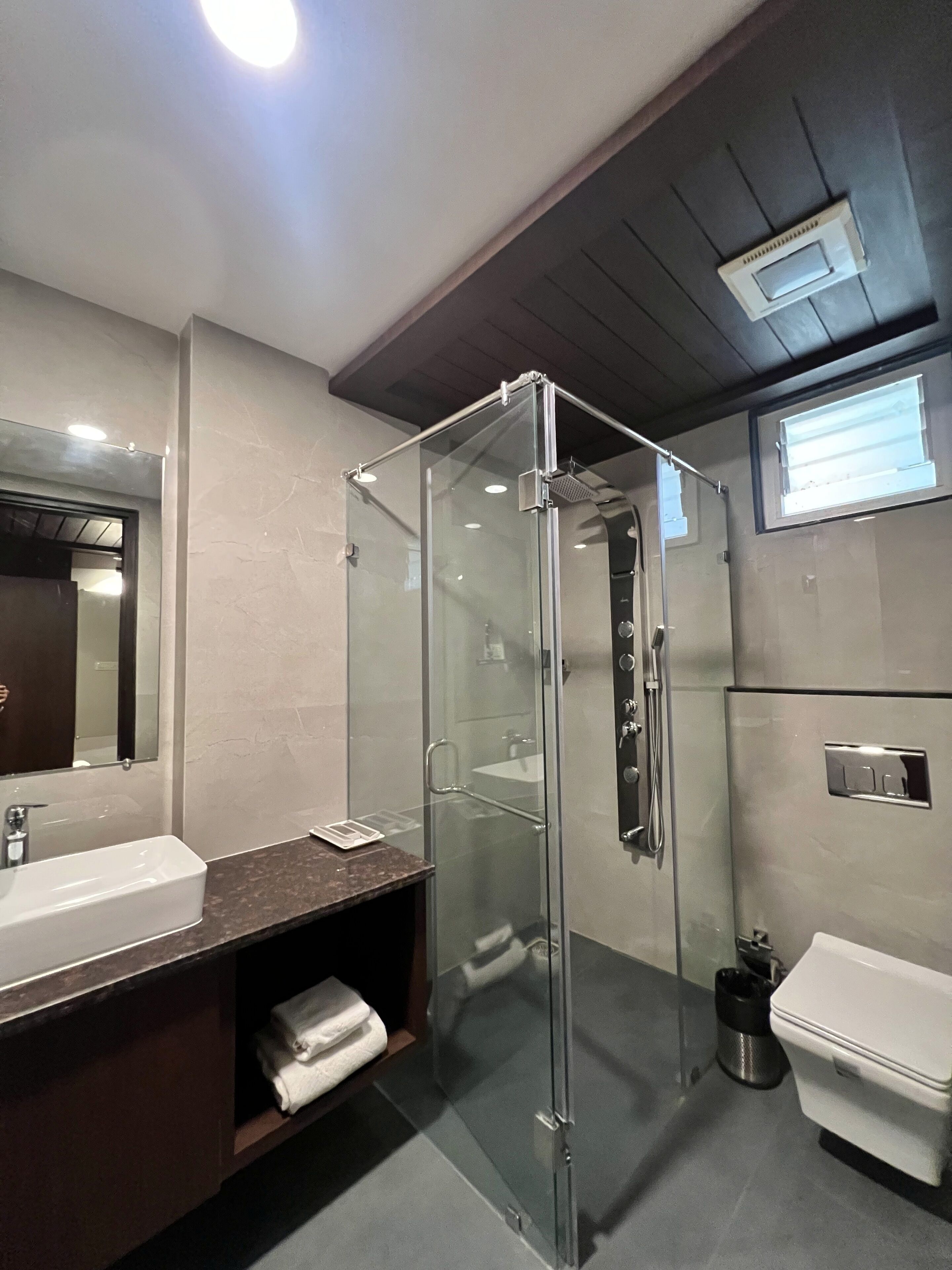A modern bathroom with a glass-enclosed shower, a large mirror, a sink, and a toilet.