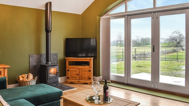 A living room with a fireplace, a television, and a large window offering a view of a green landscape.
