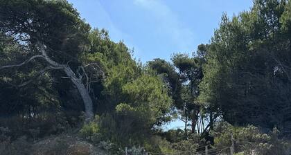 House with swimming pool in the heart of the village on the island of Porquerolles