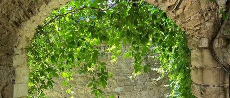 Enceinte de lâhĂ©bergement