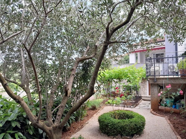 Property grounds - Holiday apartment with and sea view (Vrbnik)