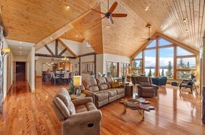 TV connectée, cheminée, lecteur de DVD, livres