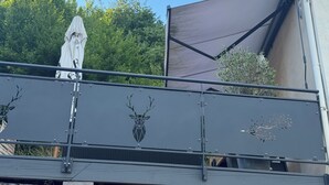 A building with a metal railing, a white structure with a draped cover, and a deer head emblem.