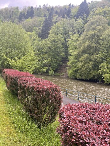 En Plein Coeur de Bouillon Avec Salle de jeu et Gym, Idéal Pour les Familles