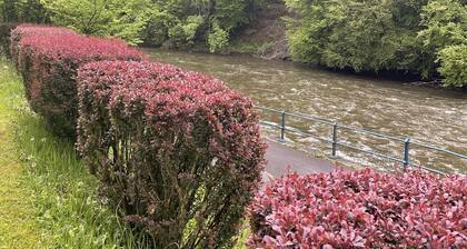 En Plein Coeur de Bouillon Avec Salle de jeu et Gym, Idéal Pour les Familles