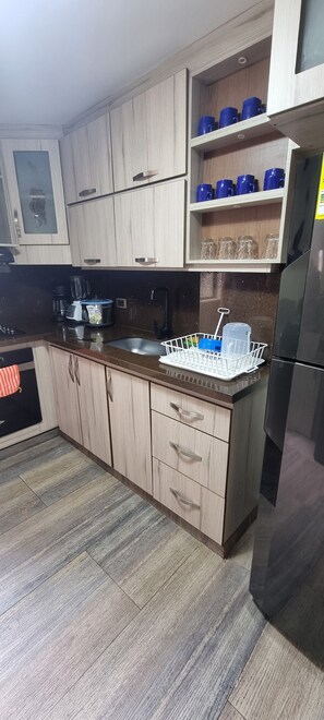 Frigorífico, microondas, horno y placa de cocina