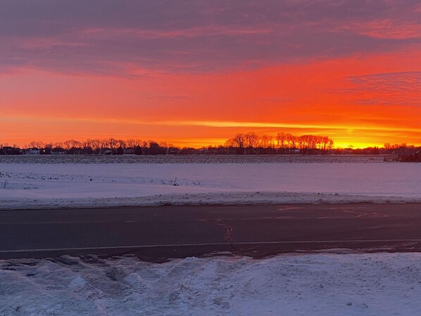 A frozen landscape with a sunset over a flat terrain and a line of trees in the distance. - Cozy cottage that allows for pets, the experience of outdoors, and the big city! (Monclova)
