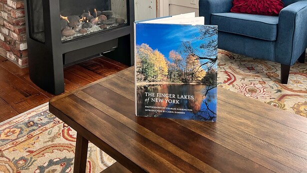 A living room with a brick fireplace, a blue armchair with a red cushion, and a book titled "The Finger Lakes of New York". - Modern Rustic Retreat- King bed, hot tub, wineries, waterfalls, hiking, Cornell (Ithaca)