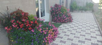 Chambre Entre Beauval Vignoble ET Chateaux