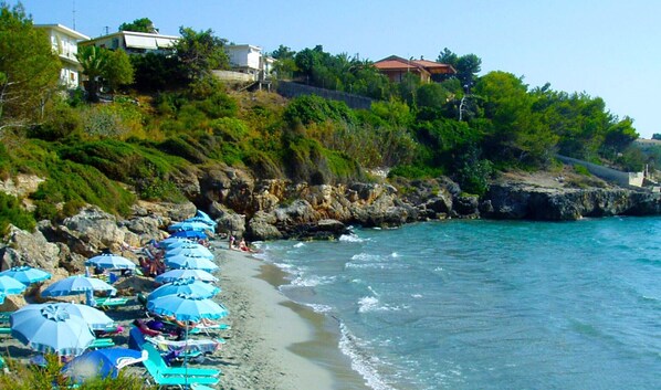 Playa en los alrededores y 2 bares en la playa 