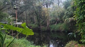 Ein ruhiger Teich, umgeben von dichtem Grün und einer Holzhütte.