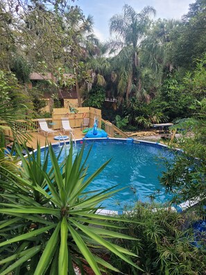 A pool surrounded by lush greenery and a wooden deck with lounge chairs. - Charming 2-bedroom house with pool and wildlife. (New Port Richey)