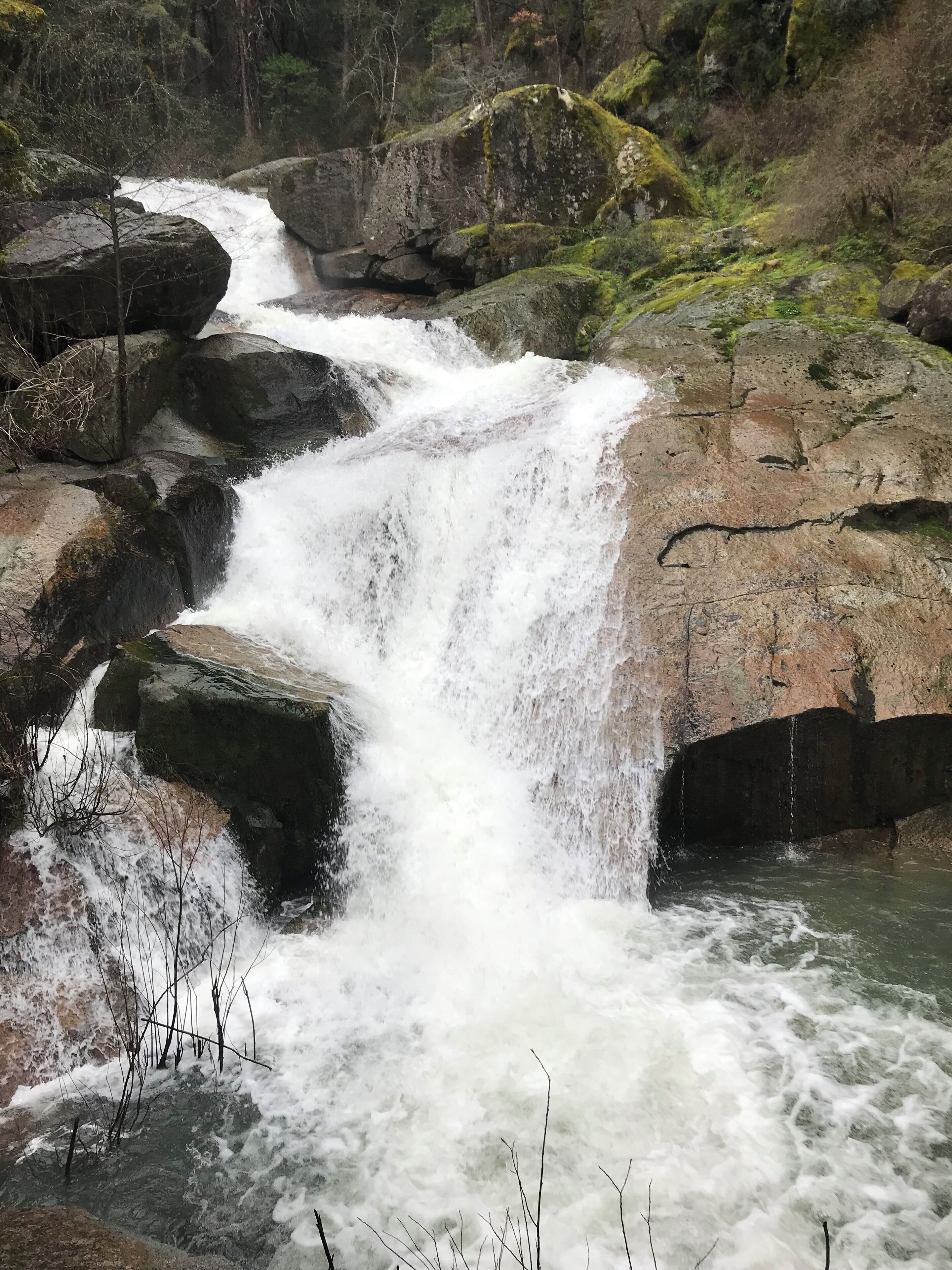 A waterfall cascading over rocks in a forested area.