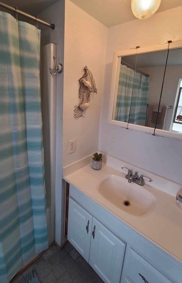 A bathroom with a shower curtain, a sink with a mirror, and a small potted plant on the counter. - Pelican Roost (Steinhatchee)