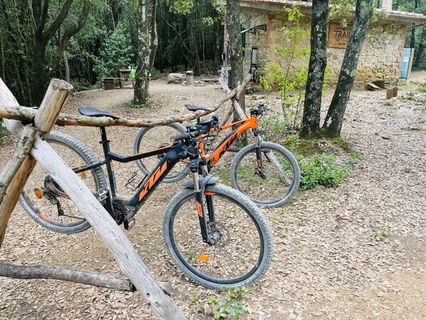 Bicycling