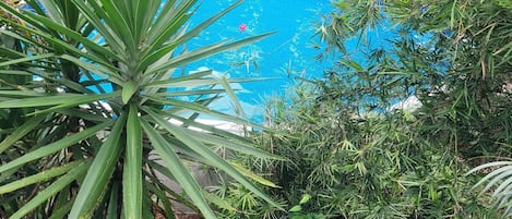 حمام سباحة