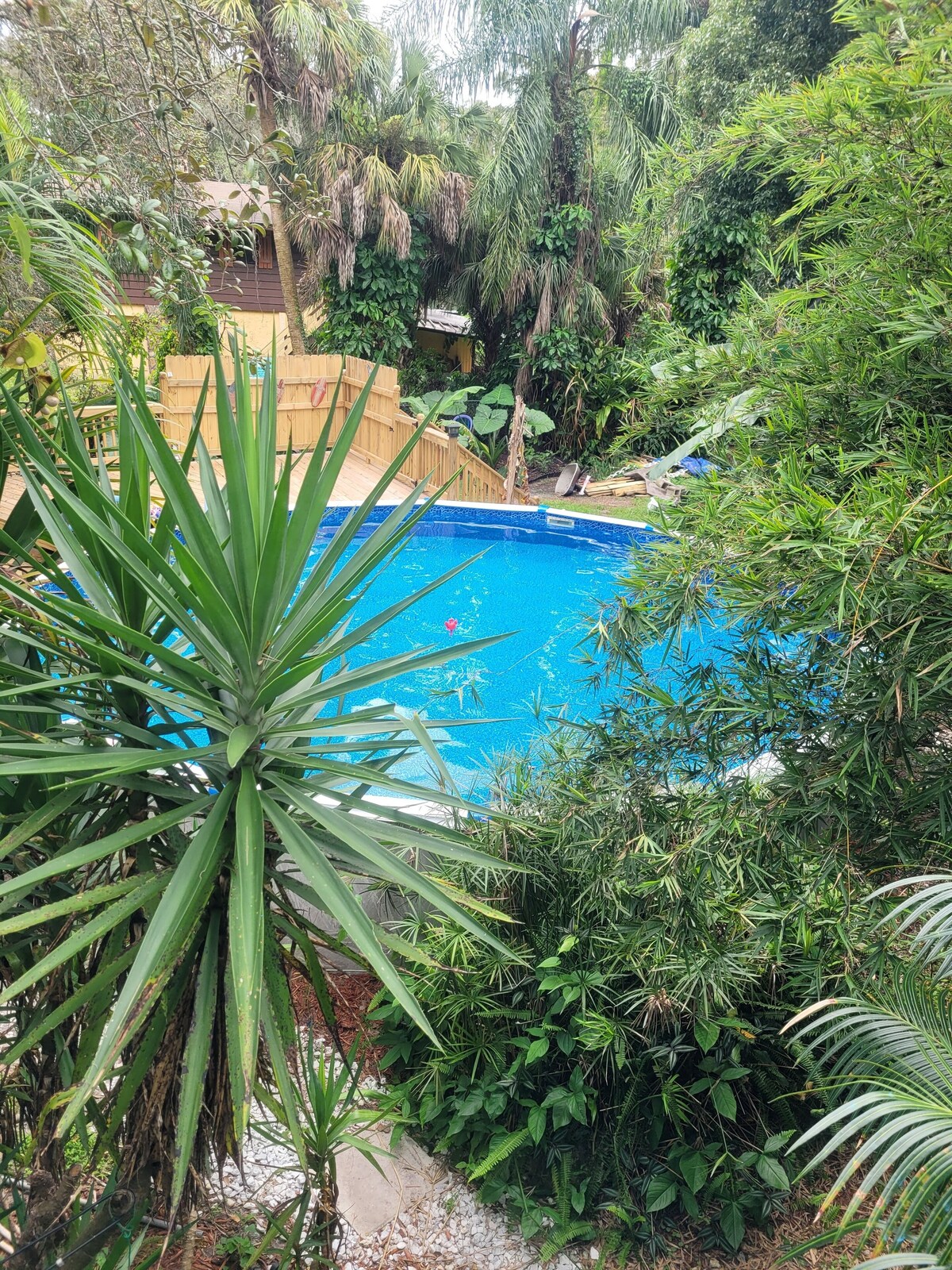 オーナーのプロフィール画像