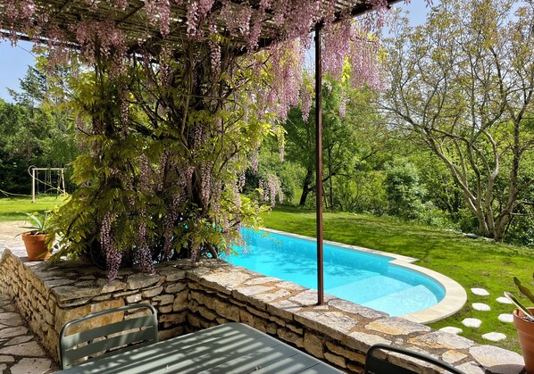 A swimming pool with a stone border, surrounded by a garden with trees and a pergola with hanging flowers.