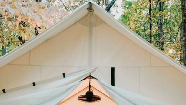 A tent with a bed and two chairs, surrounded by trees. - King Safari Tent Glamping at Unicoi in Helen GA - 13 (Helen)