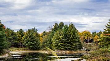 Escape to a serene lakeside cabin nestled among towering coniferous trees, offering a peaceful retreat in nature.