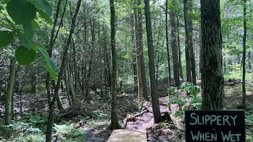 Hiking