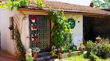 Detalle del exterior