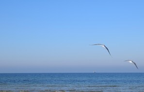 Una spiaggia nelle vicinanze